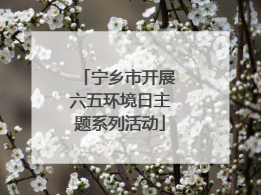 宁乡市开展六五环境日主题系列活动