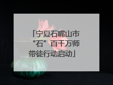 宁夏石嘴山市“石”百千万师带徒行动启动