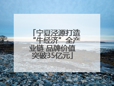 宁夏泾源打造“牛经济”全产业链 品牌价值突破35亿元