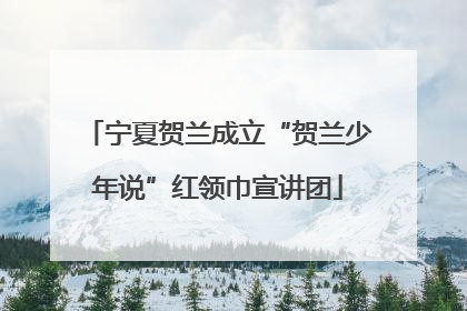 宁夏贺兰成立“贺兰少年说”红领巾宣讲团