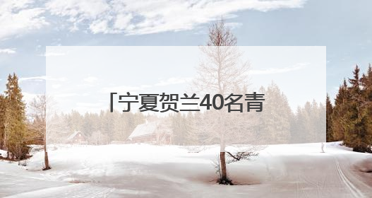宁夏贺兰40名青少年到乡村研学
