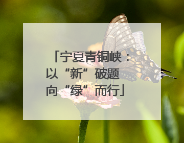 宁夏青铜峡：以“新”破题 向“绿”而行