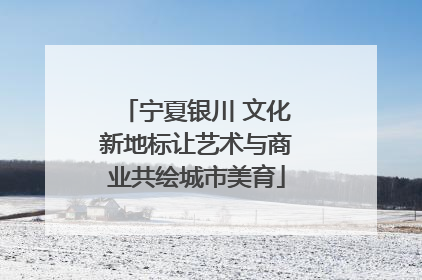 宁夏银川 文化新地标让艺术与商业共绘城市美育