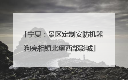 宁夏：景区定制安防机器狗亮相镇北堡西部影城