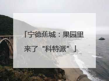 宁德蕉城：果园里来了“科特派”