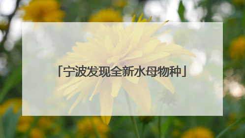 宁波发现全新水母物种