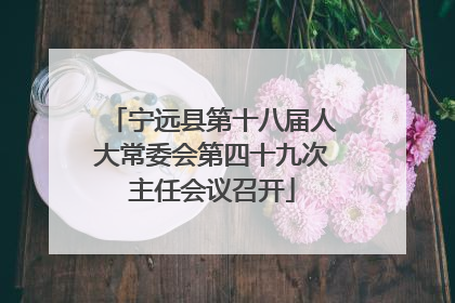 宁远县第十八届人大常委会第四十九次主任会议召开