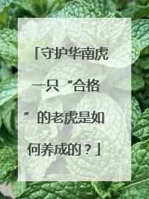 守护华南虎 一只“合格”的老虎是如何养成的？
