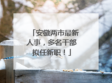 安徽两市最新人事，多名干部拟任新职！