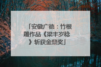 安徽广德：竹根雕作品《梁丰岁稔》斩获金鼎奖