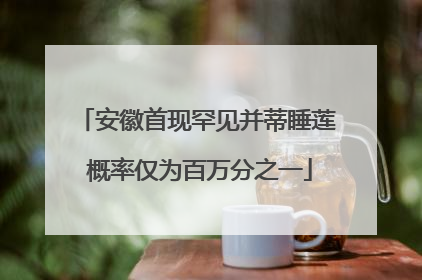 安徽首现罕见并蒂睡莲 概率仅为百万分之一