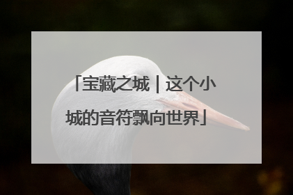 宝藏之城｜这个小城的音符飘向世界
