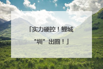 实力硬控！鲤城“圳”出圈！