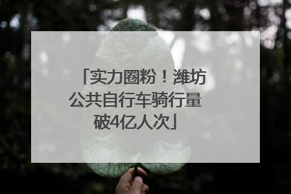 实力圈粉！潍坊公共自行车骑行量破4亿人次
