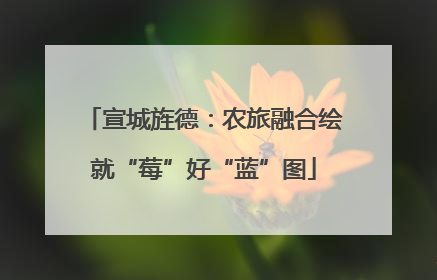 宣城旌德：农旅融合绘就“莓”好“蓝”图