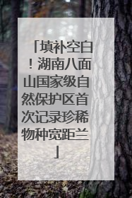 填补空白！湖南八面山国家级自然保护区首次记录珍稀物种宽距兰