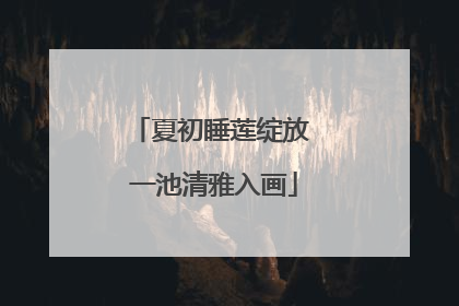 夏初睡莲绽放 一池清雅入画