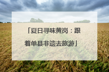 夏日寻味黄岗：跟着单县非遗去旅游