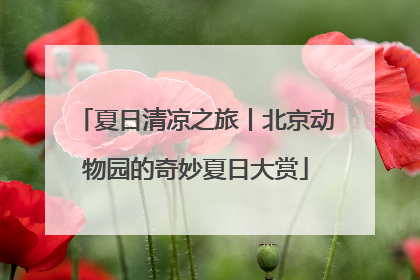 夏日清凉之旅丨北京动物园的奇妙夏日大赏