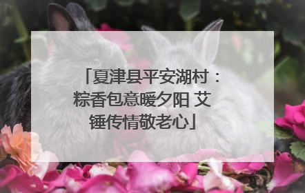夏津县平安湖村：粽香包意暖夕阳 艾锤传情敬老心