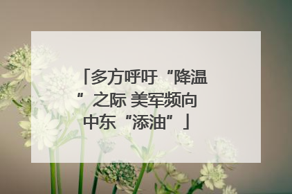 多方呼吁“降温”之际 美军频向中东“添油”