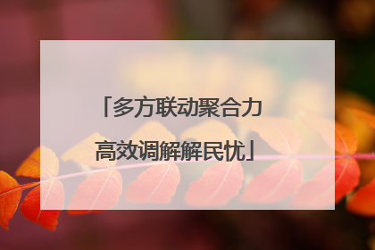 多方联动聚合力 高效调解解民忧