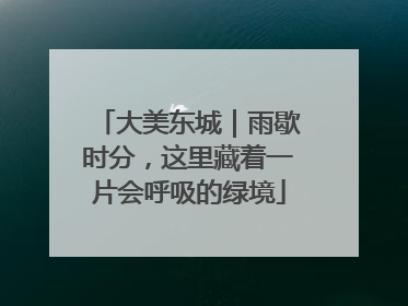 大美东城｜雨歇时分，这里藏着一片会呼吸的绿境