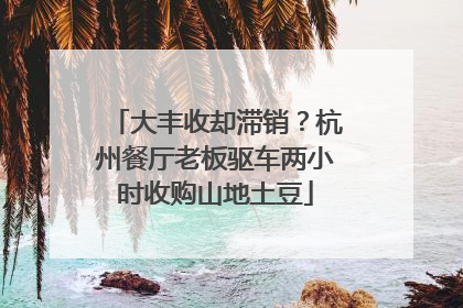 大丰收却滞销？杭州餐厅老板驱车两小时收购山地土豆