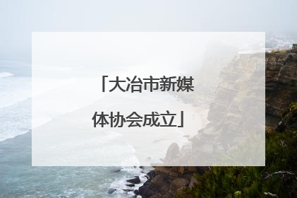 大冶市新媒体协会成立