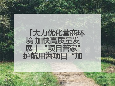 大力优化营商环境 加快高质量发展丨“项目管家”护航用海项目“加速跑”