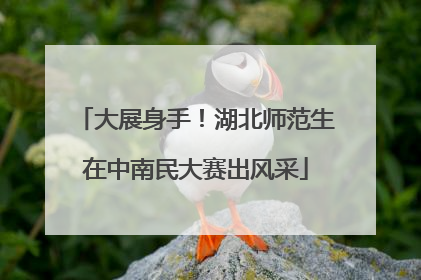 大展身手！湖北师范生在中南民大赛出风采
