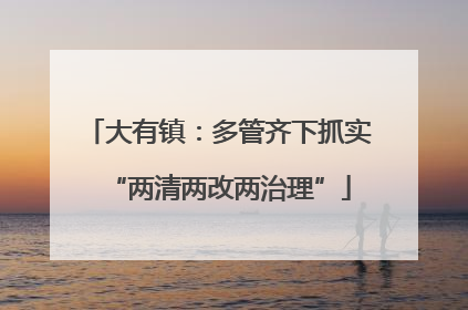大有镇：多管齐下抓实“两清两改两治理”