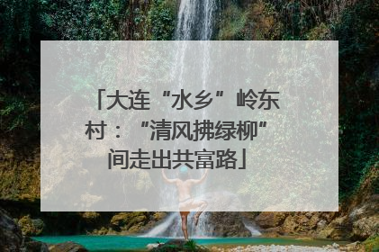 大连“水乡”岭东村：“清风拂绿柳”间走出共富路