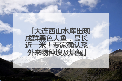 大连西山水库出现成群黑色大鱼，最长近一米！专家确认系外来物种埃及塘鲺
