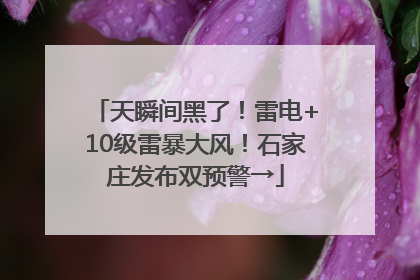天瞬间黑了！雷电+10级雷暴大风！石家庄发布双预警→