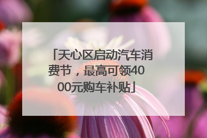 天心区启动汽车消费节，最高可领4000元购车补贴