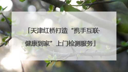 天津红桥打造“携手互联·健康到家”上门检测服务