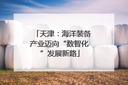 天津：海洋装备产业迈向“数智化”发展新路