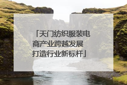 天门纺织服装电商产业跨越发展 打造行业新标杆