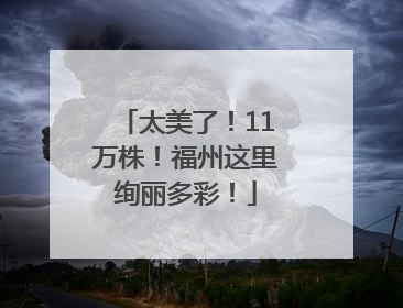 太美了！11万株！福州这里绚丽多彩！