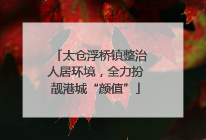 太仓浮桥镇整治人居环境，全力扮靓港城“颜值”