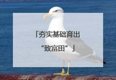 夯实基础育出“致富田”