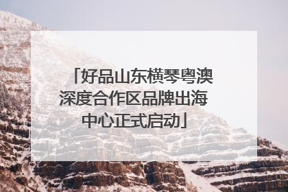 好品山东横琴粤澳深度合作区品牌出海中心正式启动