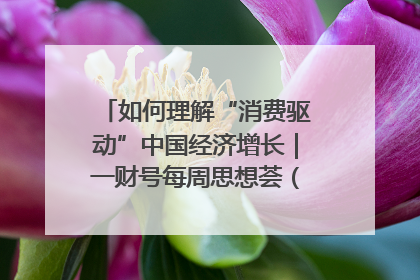 如何理解“消费驱动”中国经济增长｜一财号每周思想荟（第22期）