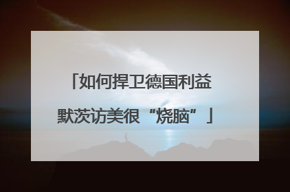 如何捍卫德国利益 默茨访美很“烧脑”