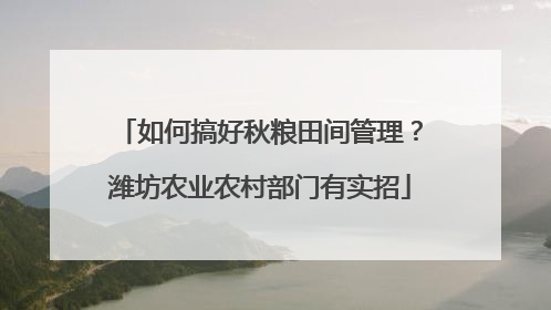 如何搞好秋粮田间管理？潍坊农业农村部门有实招