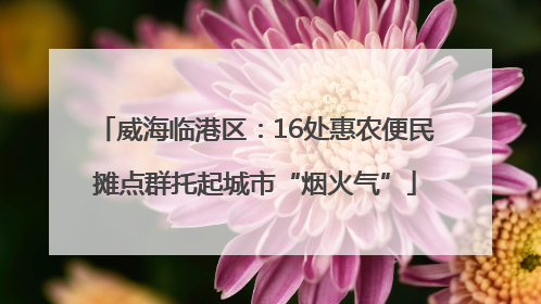 威海临港区：16处惠农便民摊点群托起城市“烟火气”