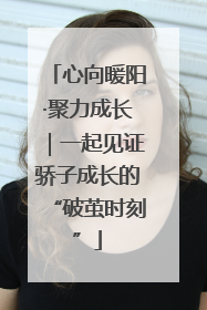 心向暖阳·聚力成长｜一起见证骄子成长的“破茧时刻”