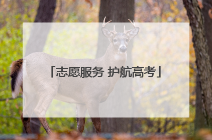 志愿服务 护航高考