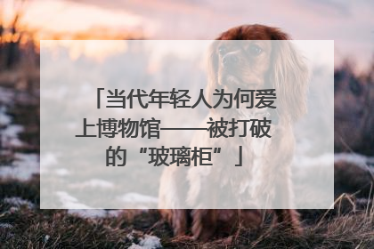 当代年轻人为何爱上博物馆——被打破的“玻璃柜”